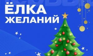Специалисты облкультнаследия исполнили мечту юной жительницы Волгоградской области благодаря проекту «Елка желаний»